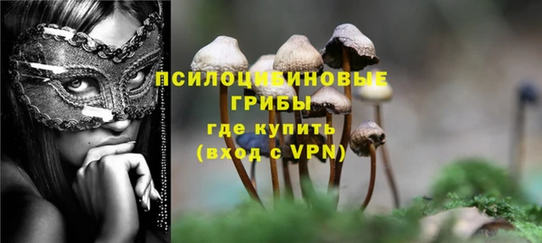 крисы Бронницы