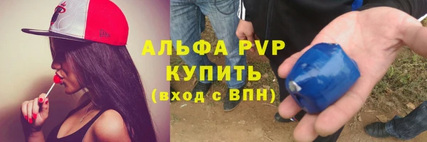 крисы Бронницы