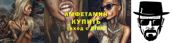 крисы Бронницы