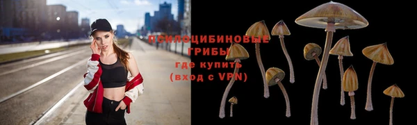 spice Беломорск