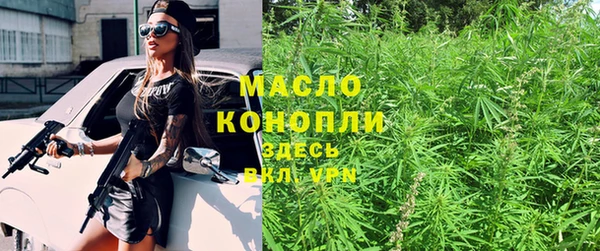 гидра Бородино