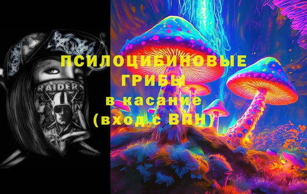 гидра Бородино