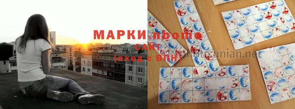 гидра Бородино