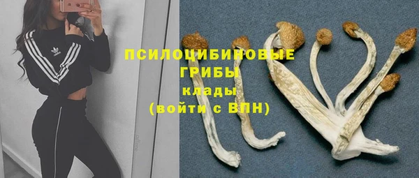 spice Белокуриха